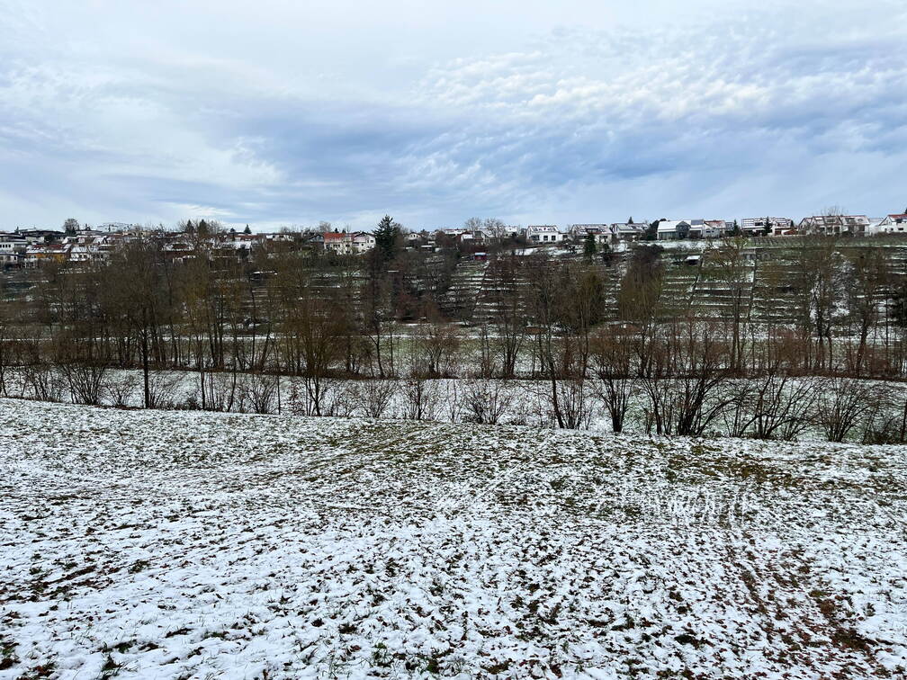 22-12-19 13-48-44 3638